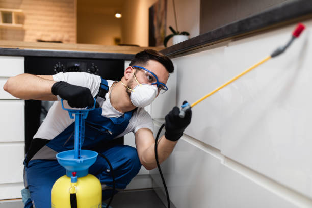 Best Bed Bug Extermination  in Crystal River, FL