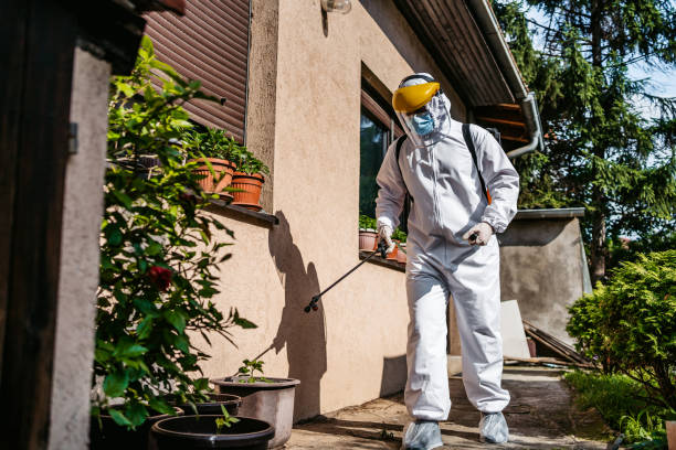 Best Ant Control Services  in Crystal River, FL