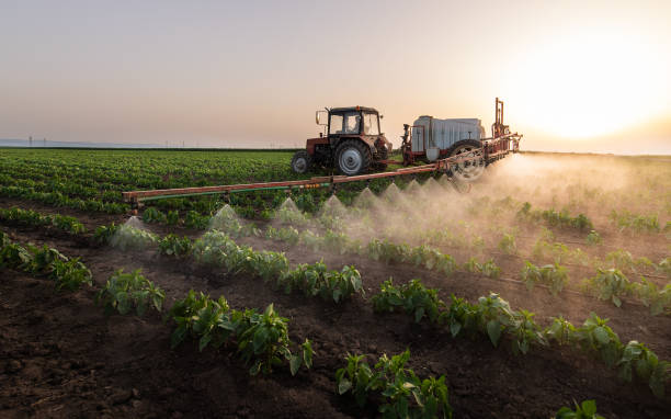 Best Commercial Pest Control Services  in Crystal River, FL