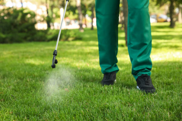 Best Affordable Pest Control Services  in Crystal River, FL