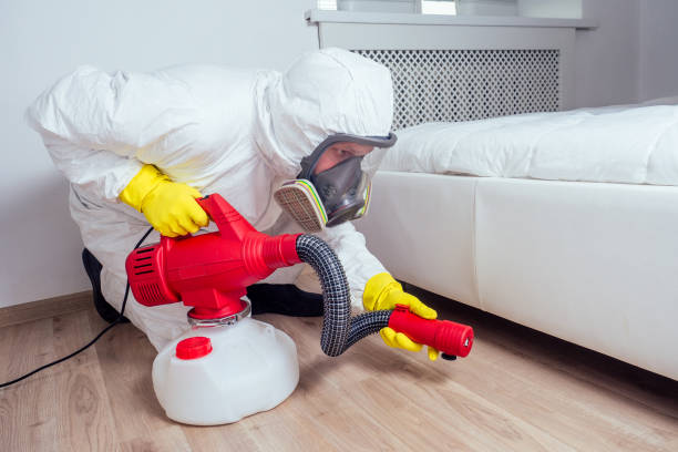 Best Mosquito Control Services  in Crystal River, FL