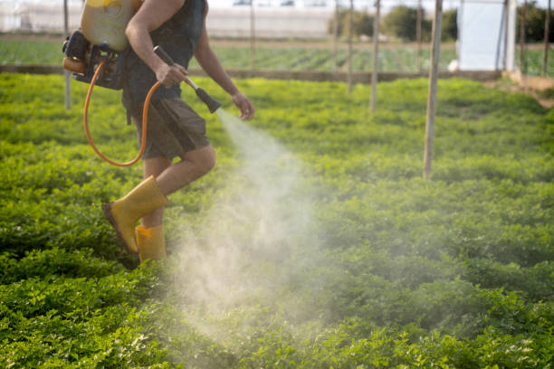 Best Ant Control Services  in Crystal River, FL