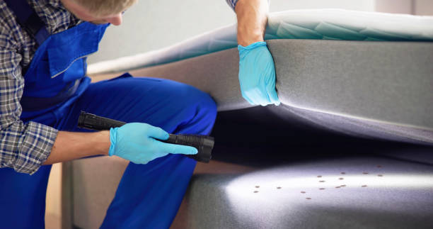 Best Pest Control Near Me  in Crystal River, FL