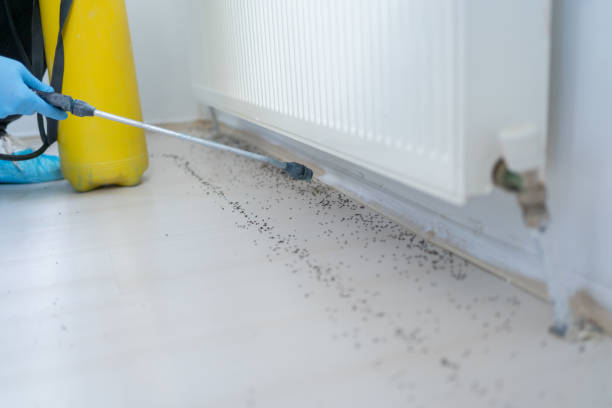 Best Pest Control Near Me in Crystal River, FL