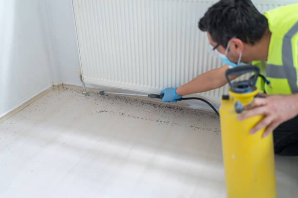 Best Flea Control Services  in Crystal River, FL